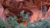 PICTURES/Zion National Park - Yes Again/t_Double Arch Alcove10.JPG